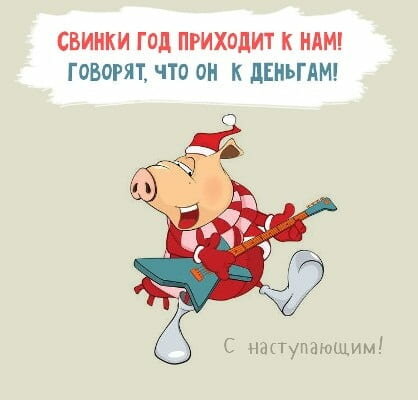 год свиньи фото