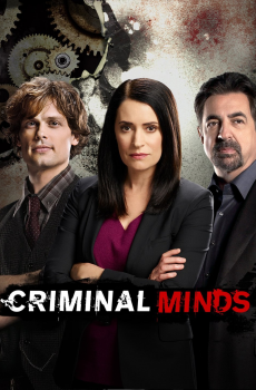 Batman Animated Series Dizilab