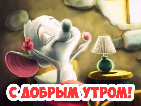 ����, � ������ ����� ����� ��������