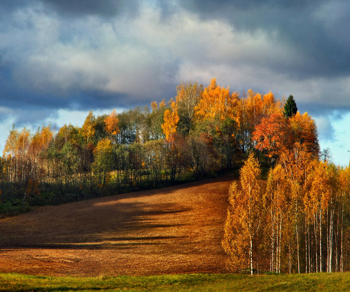 Фото Октябрь Природа Красивые