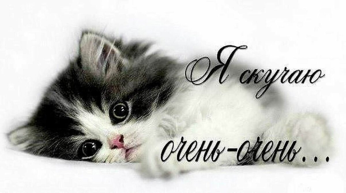 �������, �������� � �������� ��� ������� �������