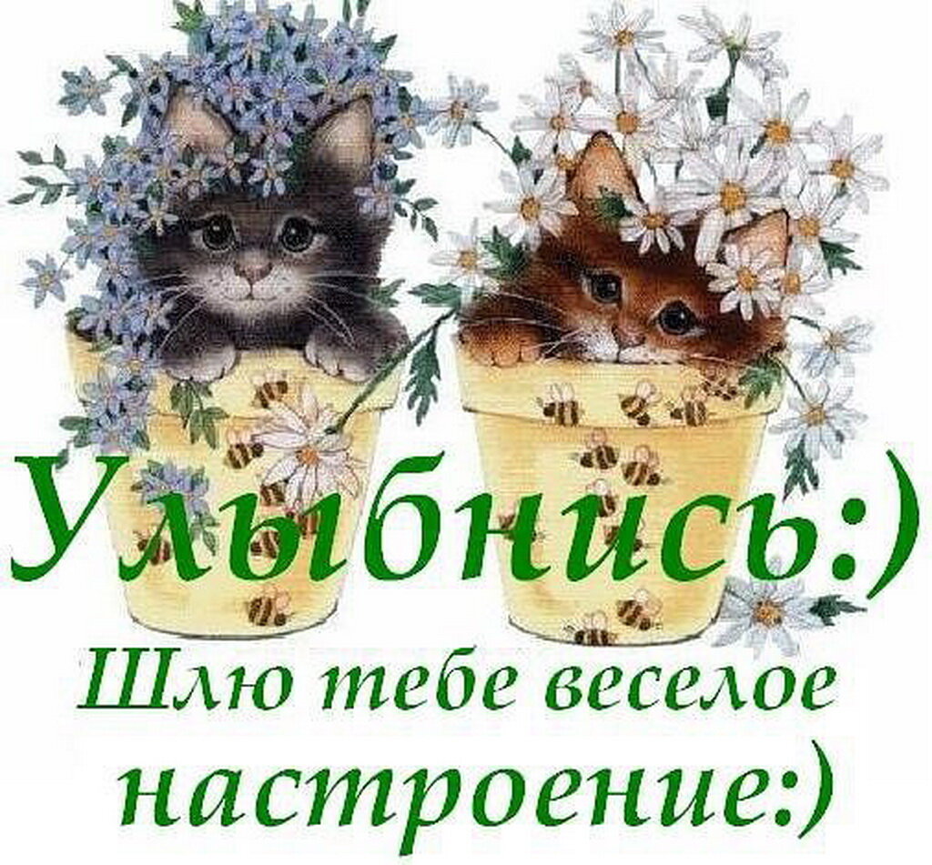 �������� ������ ��� ��� ���������� �������, �������