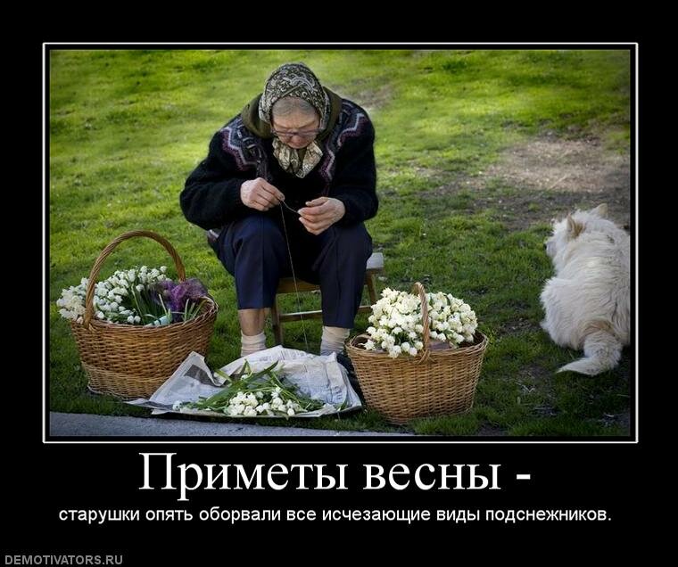 ���� ������� ��� ����� ������ ������ ���������