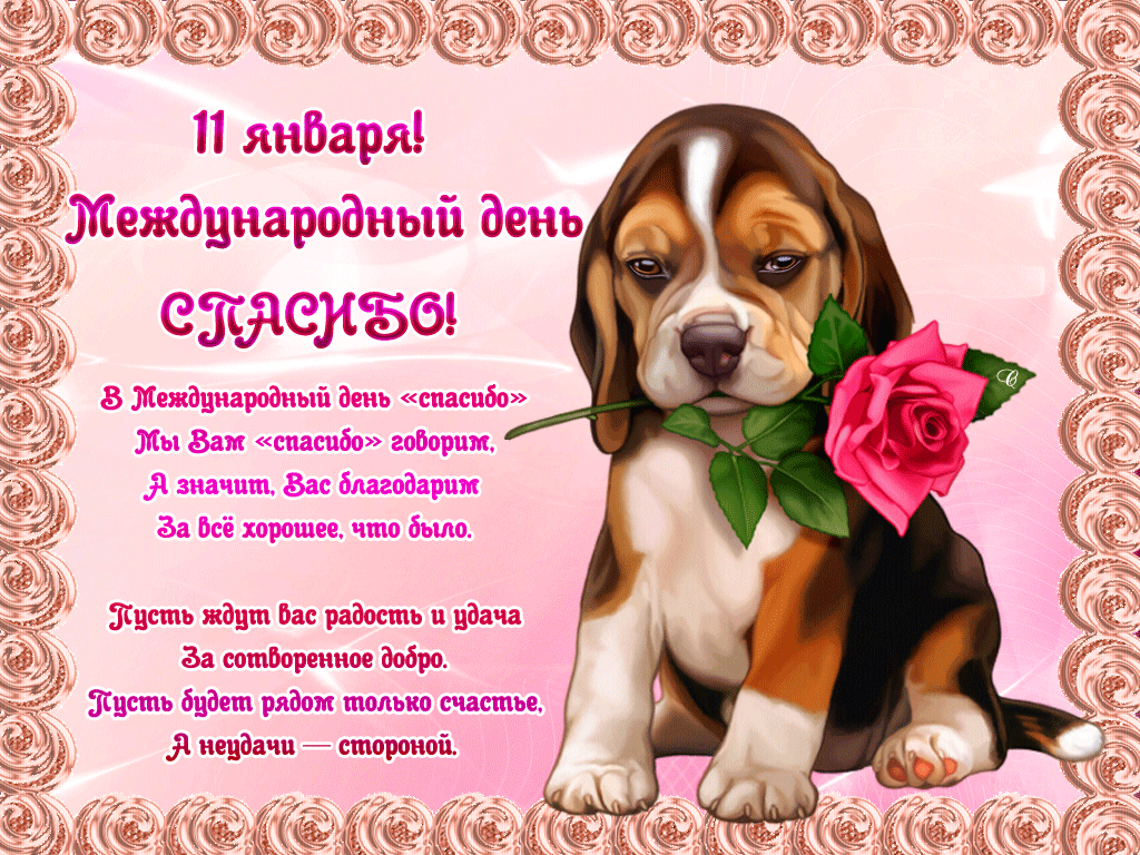 �������� �� ���� ���������� � ���������, �������� ��������