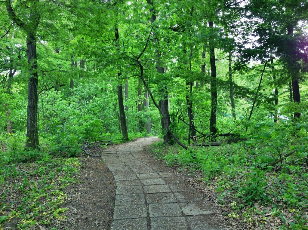 парк царицыно тропинки фото