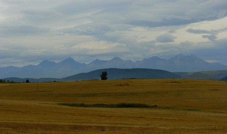 Природа: фото, изображения и картинки