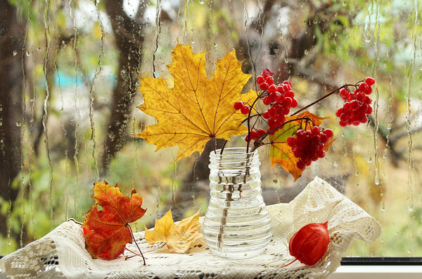 �������� �� ������� ����� �� ����� �����