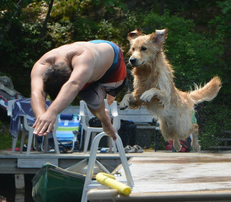 Парень с собакой ныряют в воду.