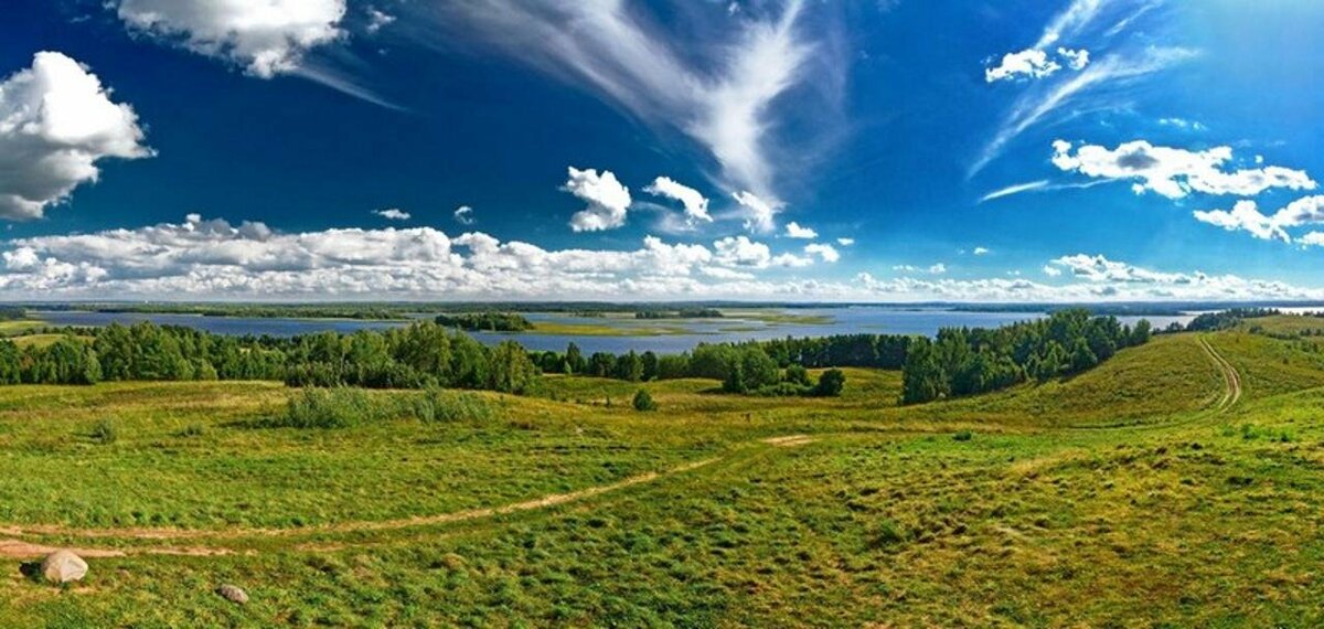 поле равнина белоруссия фото