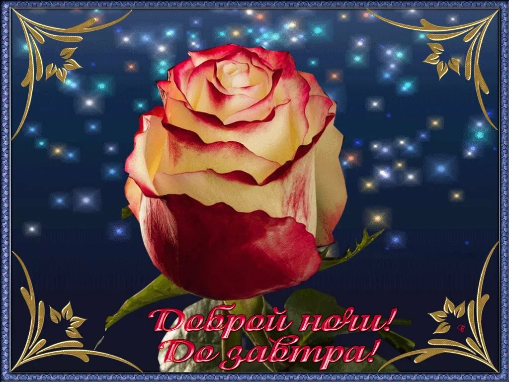 �������� � ����������� ������ ���� ��������, ��������