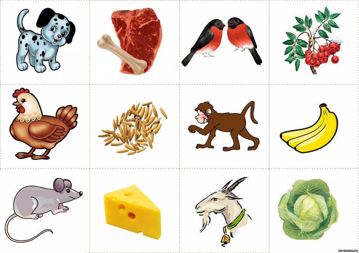 Кто что ест домашние животные картинки для детей игра распечатать
