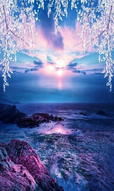 природа картинки красивые на телефон вертикальные фото