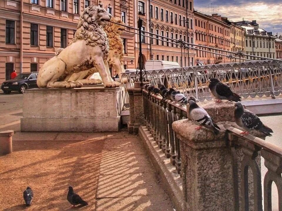 львиный мост санкт петербург фото