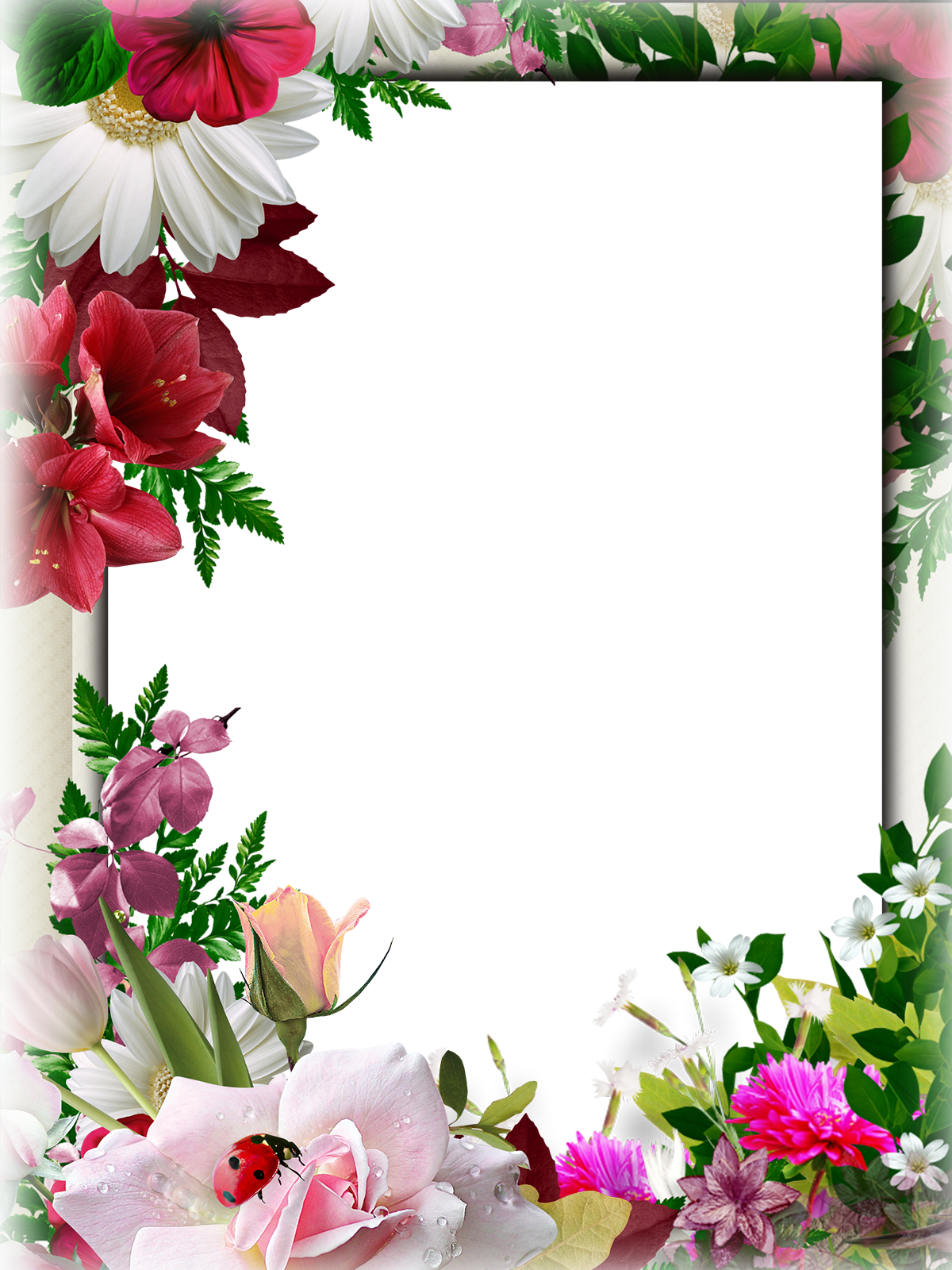 �������� �� �� �������, ���������� ��������������