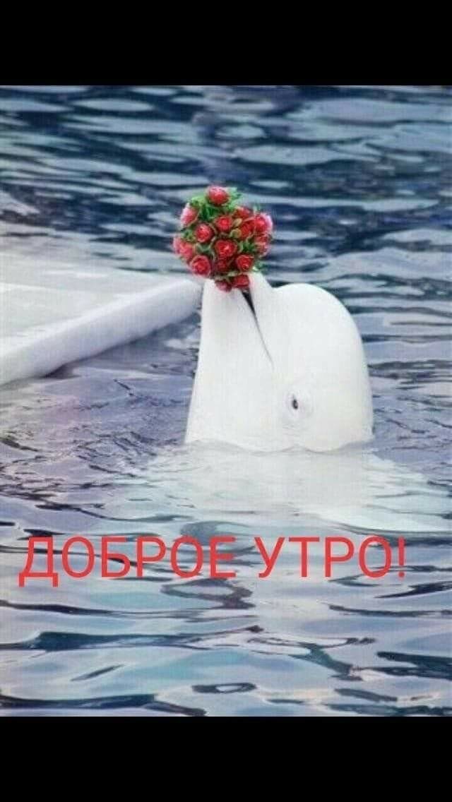 ÐÐ´Ð½Ð¾ÐºÐ»Ð°ÑÑÐ½Ð¸ÐºÐ¸