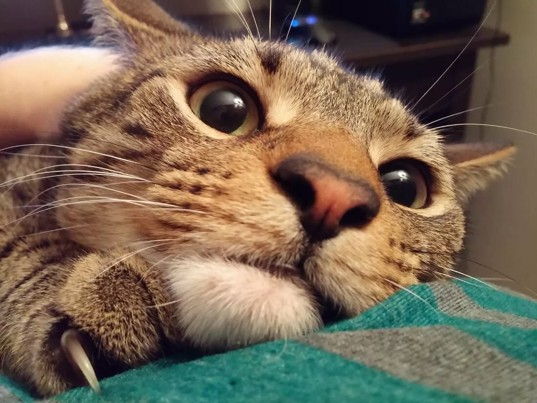 ������� �������� � ������ ��������, ������� ���� �����