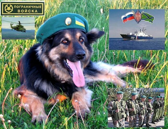 �������� � ���� ������������ ��, �������� ���� ���