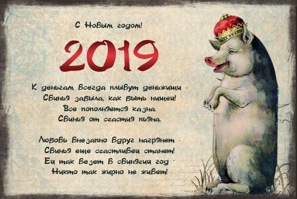 год свиньи фото