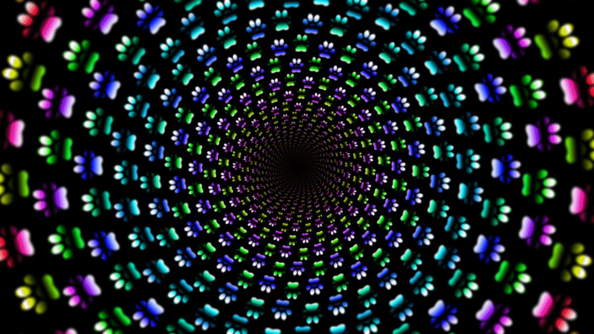 �������� �� ������� ����� ���� ������� ���������