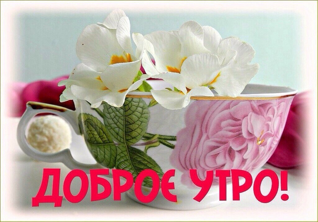 ��� ��������, �������� ������ ������ ����