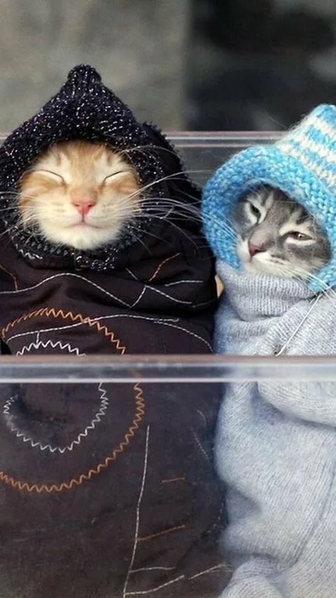 �������� �����, �������� ���������� � ��������