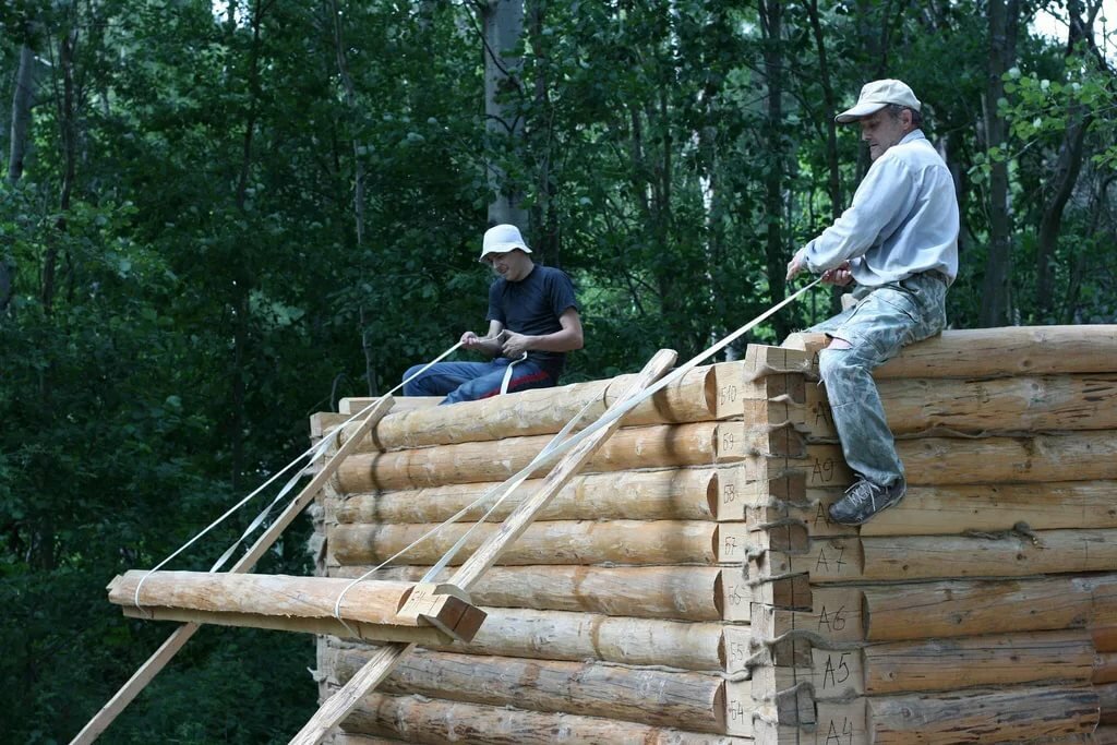 сборка бани из бревна