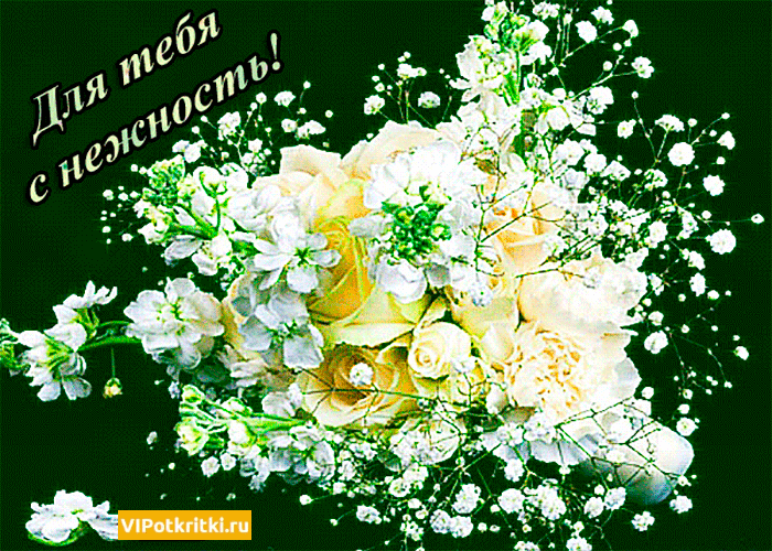 �������� ����������� ���������