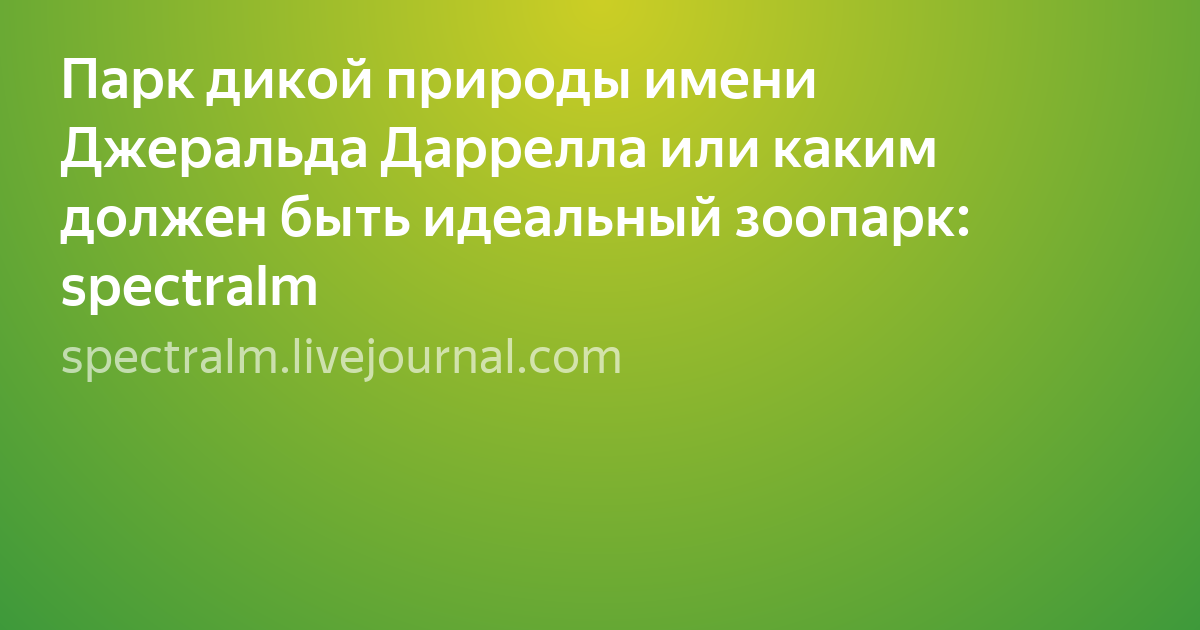футбольные матчи фото