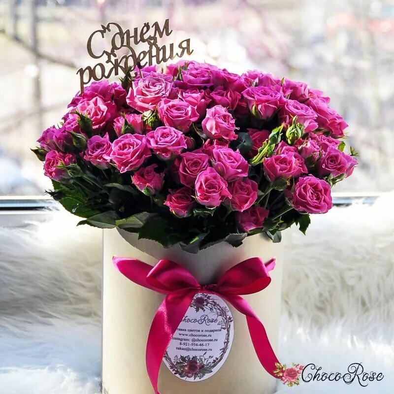 ������� ���, �������� � ������� � ���� ��������