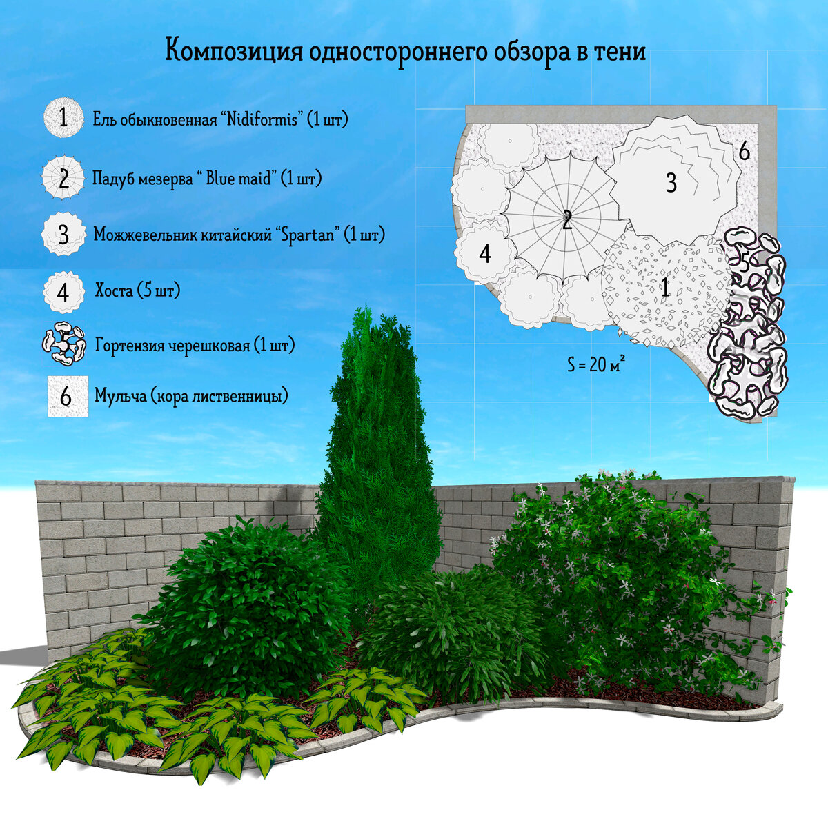 схема клумбы с хвойниками фото