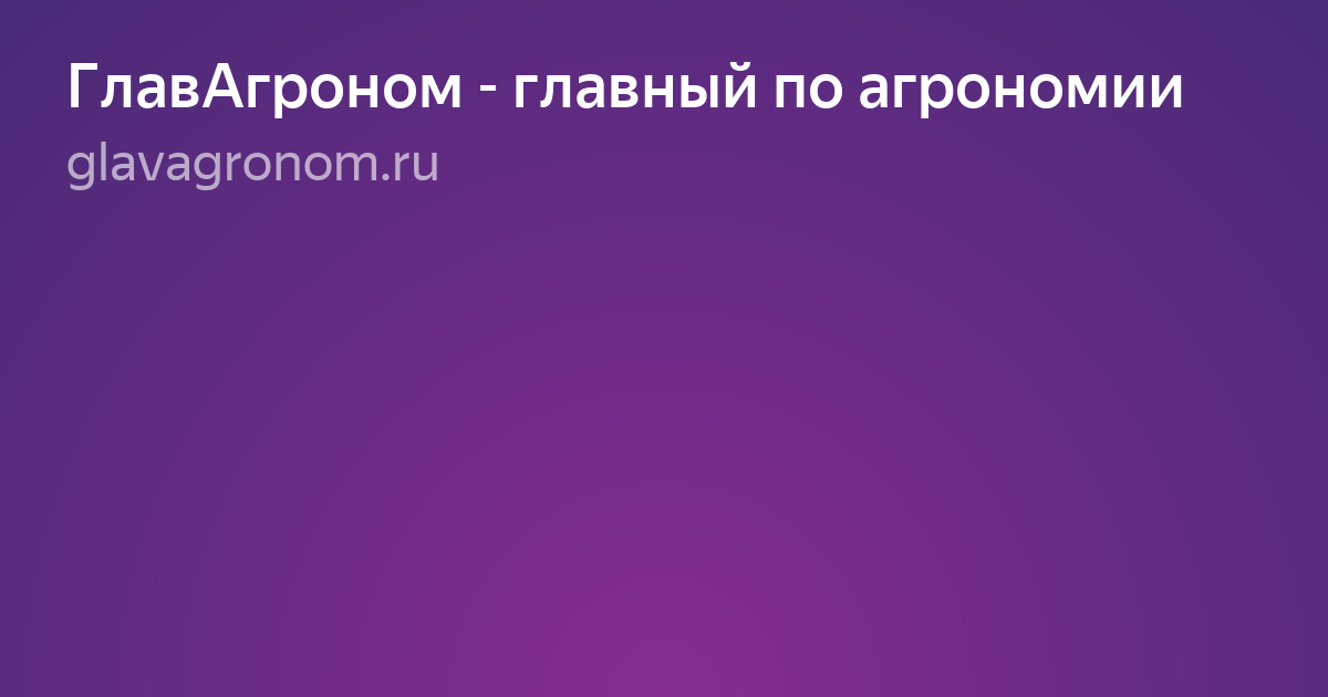 Текст фото