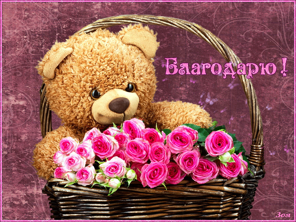 �������� � ��������������