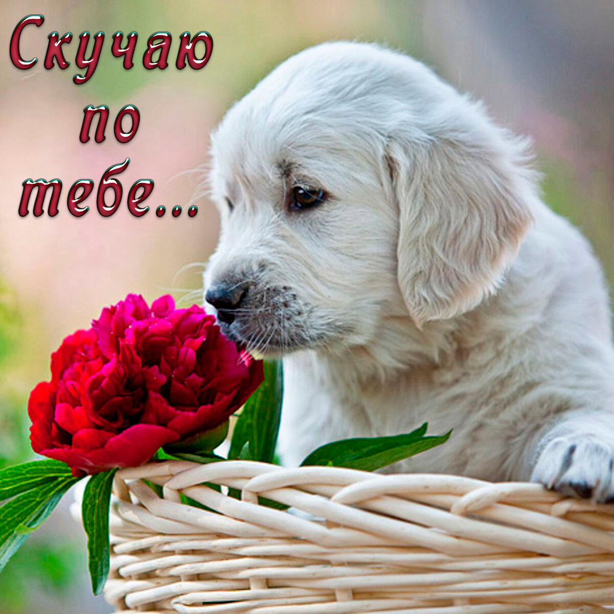 � ������ �������� � ��������