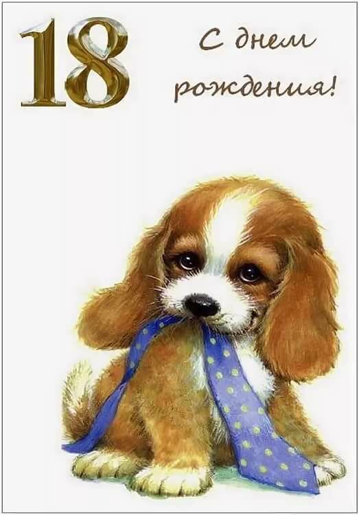 ���������, 18 ��� �������� ��������