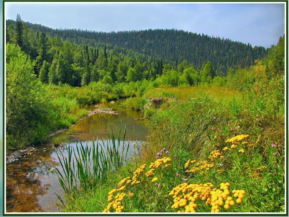 просторы сибири фото