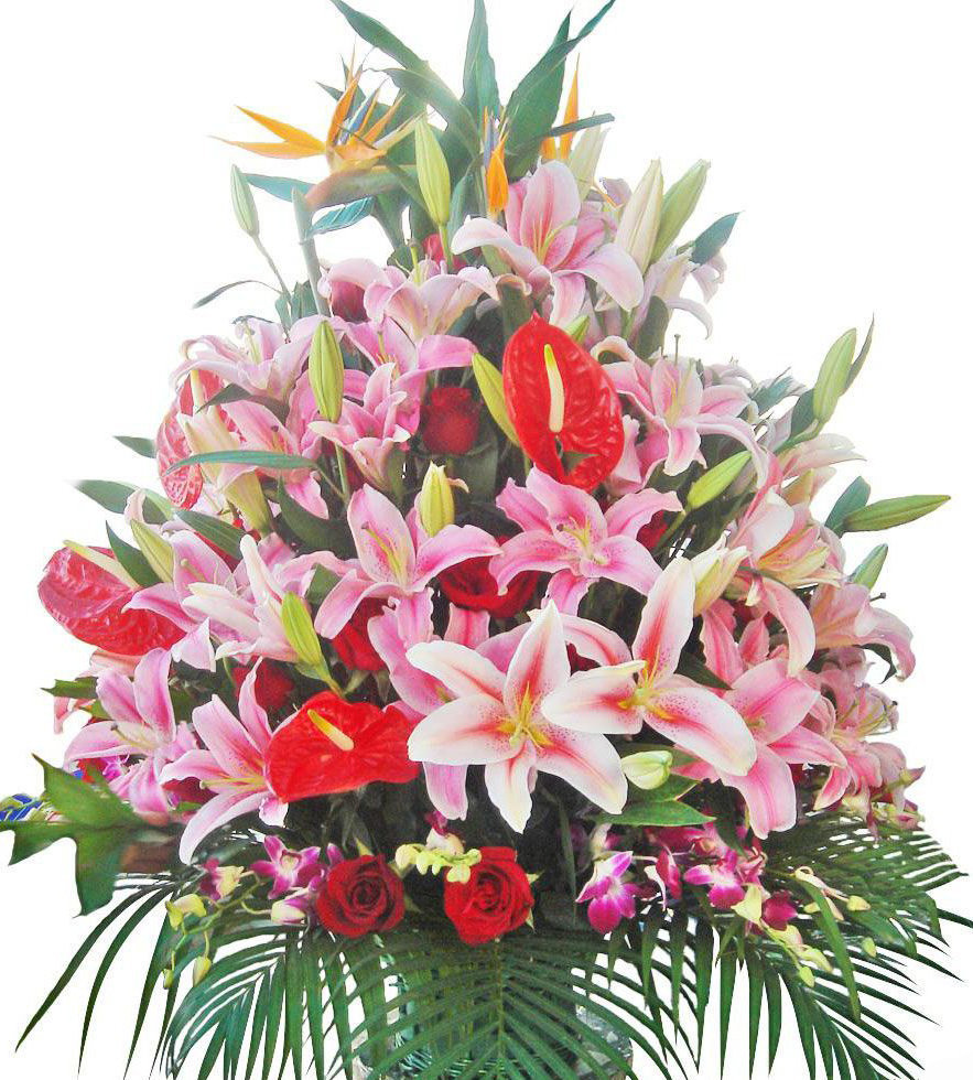 ������ ����� �������� ����, ������� �������� ����