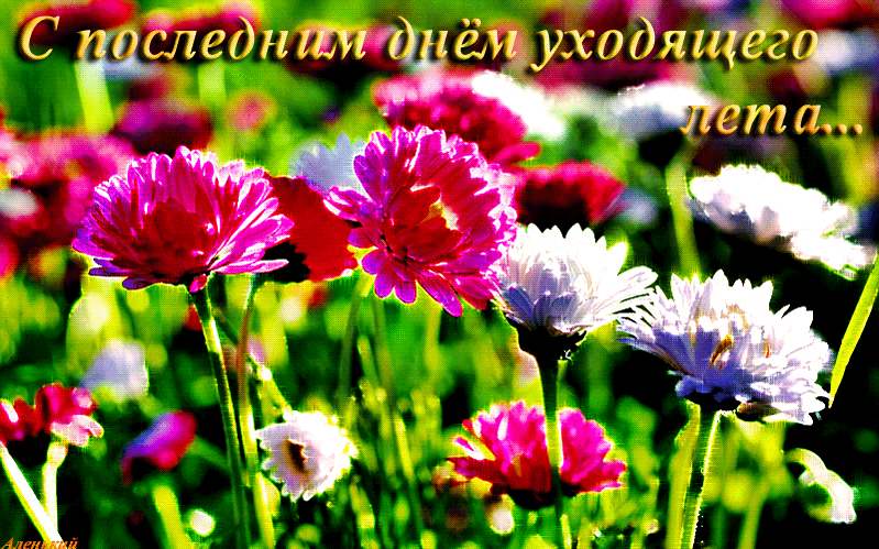 ��������� ���� ���� �������� ���������� ������� � ��������, ��������� ���