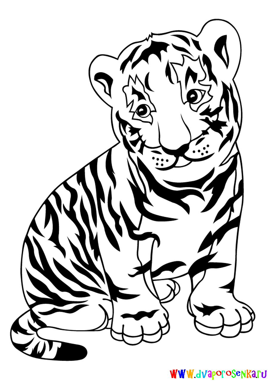 Раскраски Тигры Распечатать