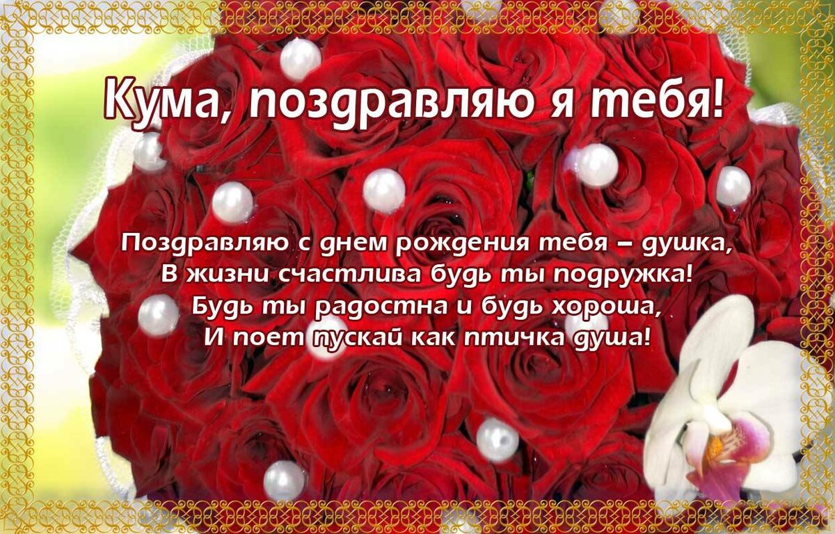 Veselye Pozdravleniya S Dnem Rozhdeniya Kume Ot Kuma Http