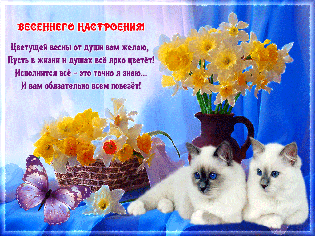 �������� �������� � �����������, ������ ������ ��������