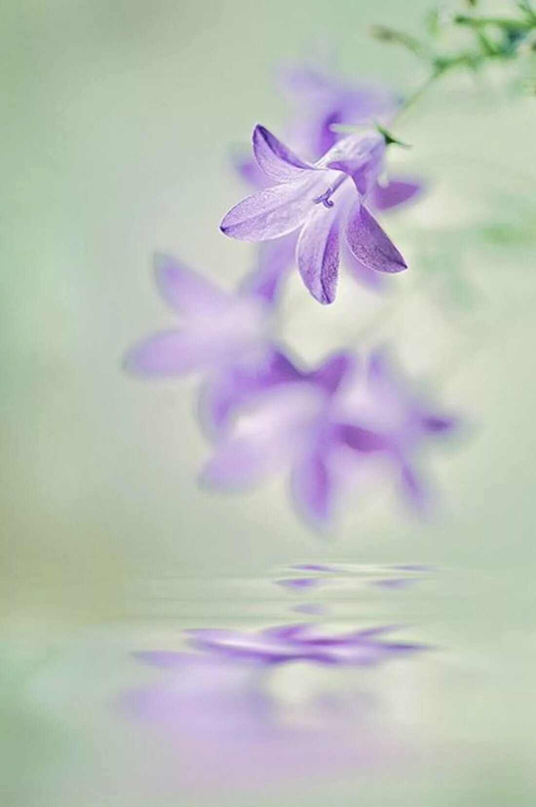 ������������ �������� �����