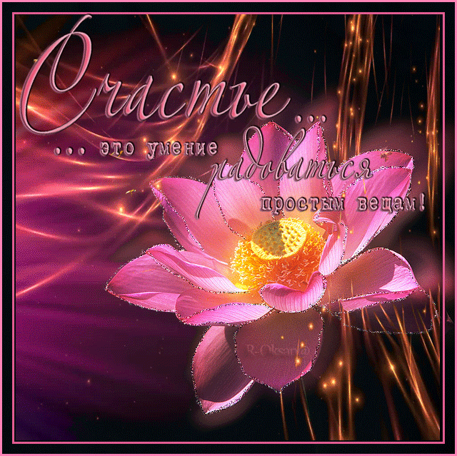 �������� ������� ���� �����