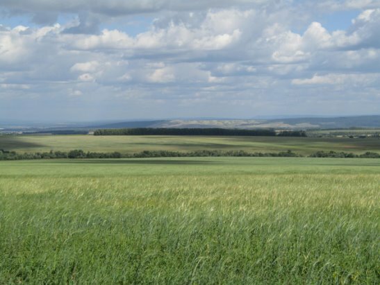 равнины оренбургской области фото