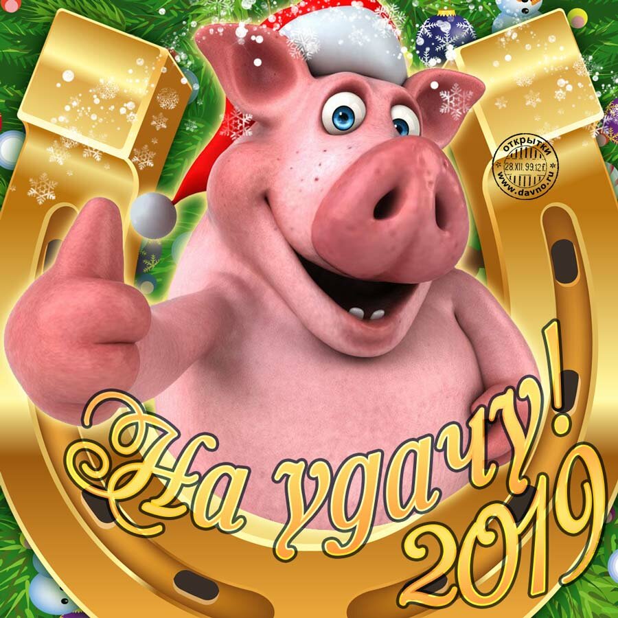 �������� � 2019 ���� �������