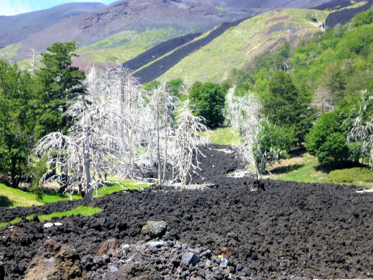 Республика Алтай фото