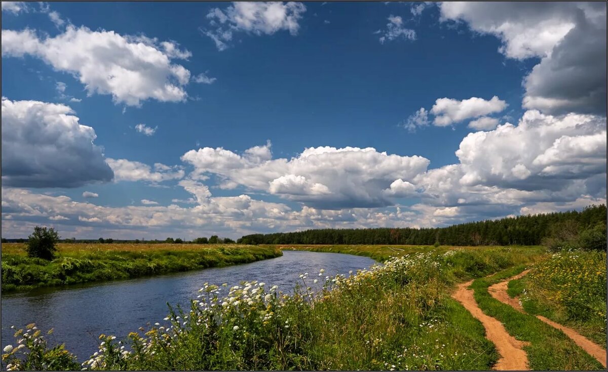 фото природы русской июль фото