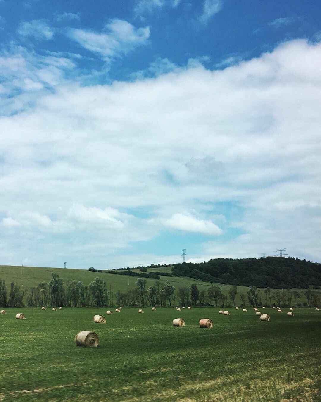 поле луг фото