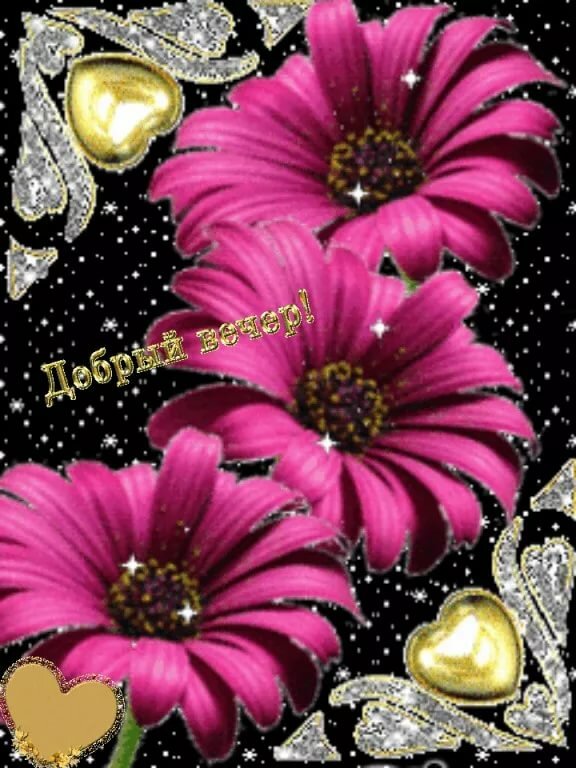 Анимированные картинки на сотовы