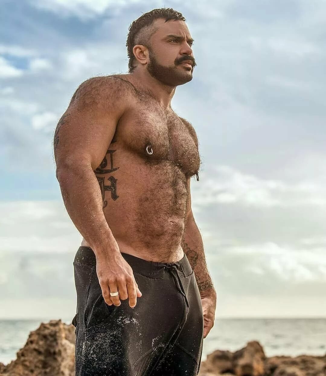 Hairy muscle bear meme