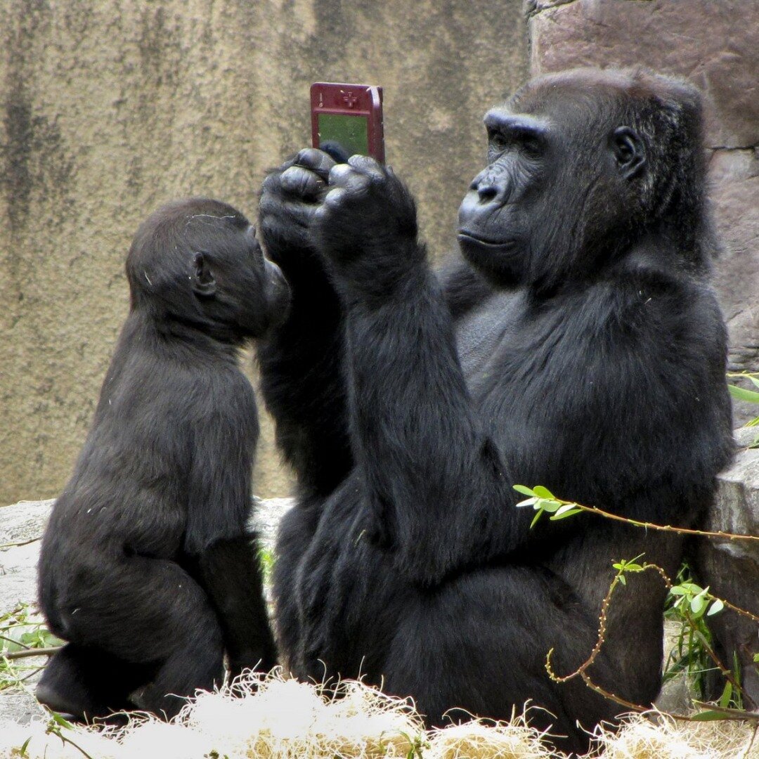 �������� ��� �������� ������� � ����������